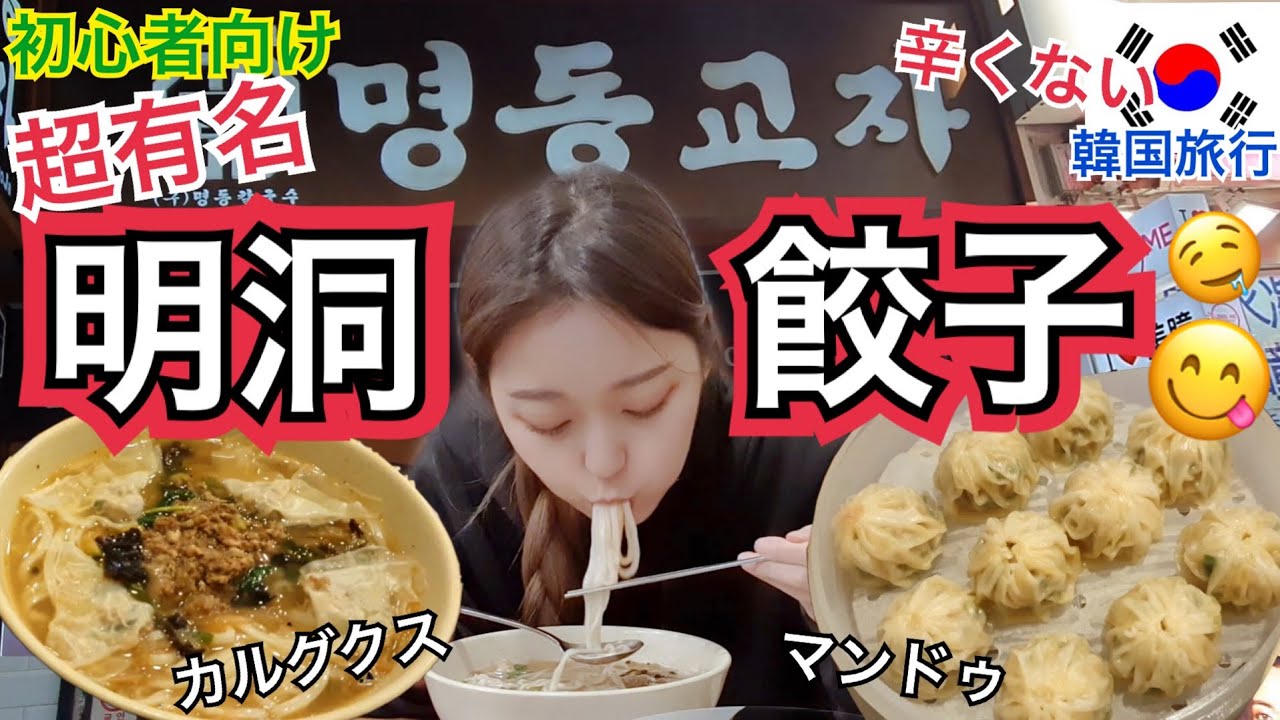 【韓国旅行】韓国語必要なし！明洞で一番有名で初心者におすすめの明洞餃子で2年ぶりにご飯【モッパン】