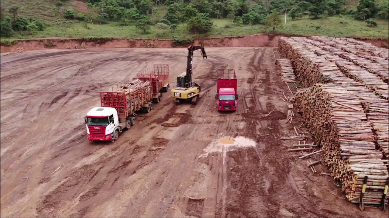 JSL - Transporte de Madeira Eucalipto - Cliente  CENIBRA 2019