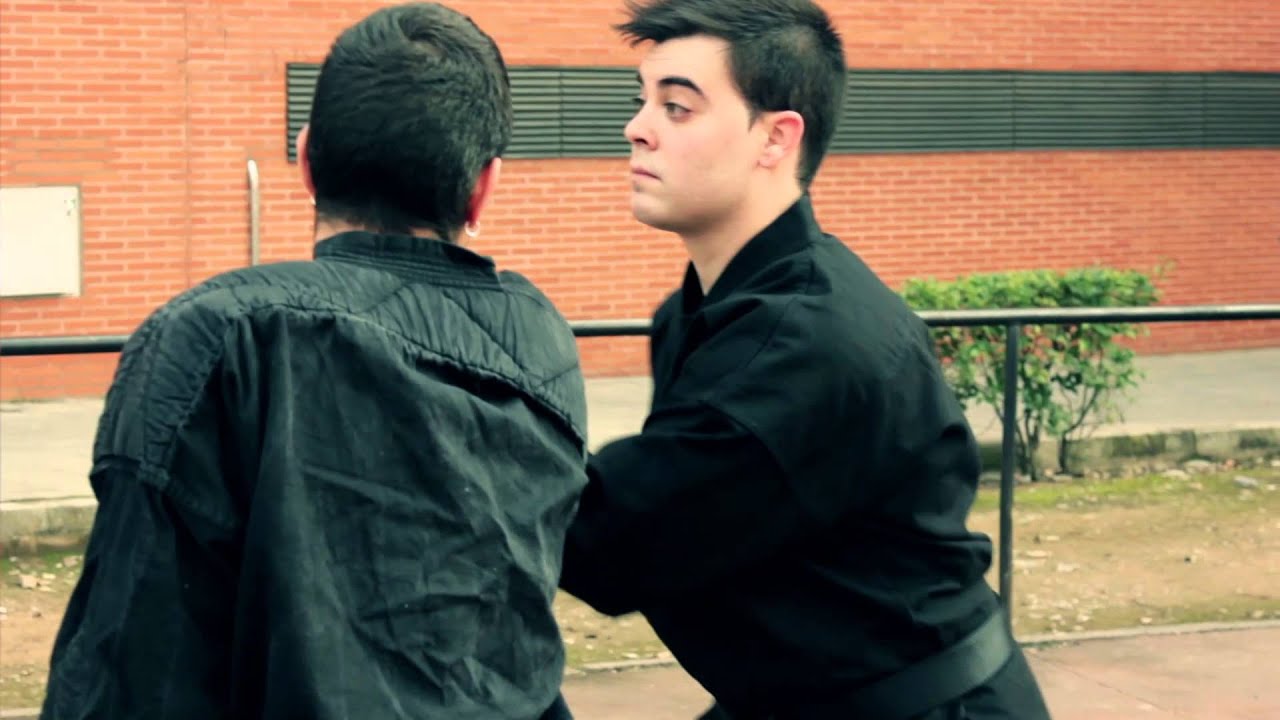 Ninjutsu Taiken ryu