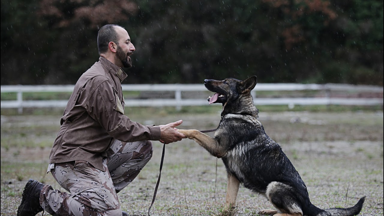 K9 Güvenlik Canlı Yayını