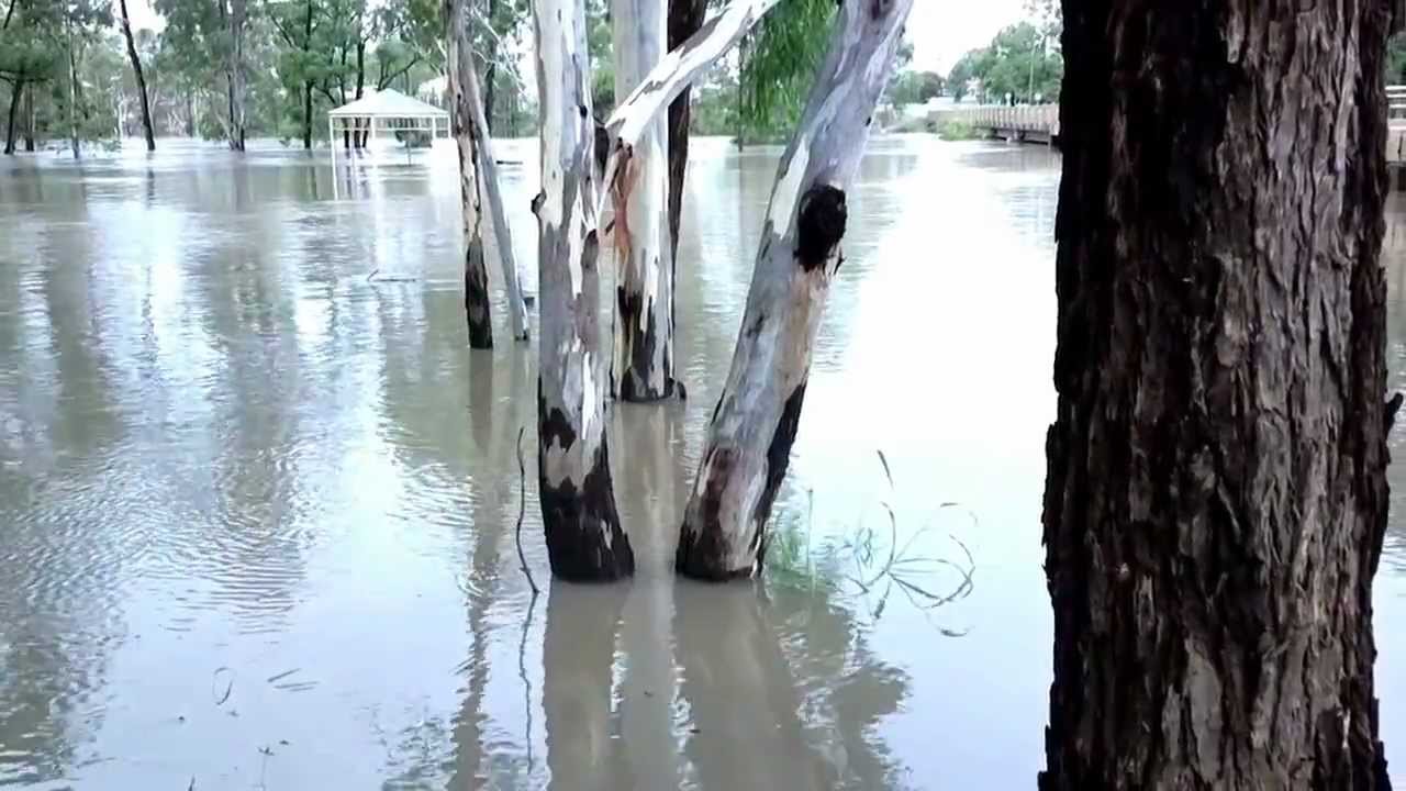 Floods Qld 2013 Miles