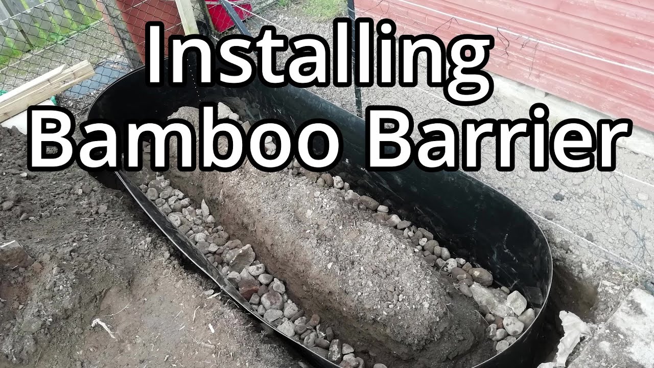 Building And Planting Up Two Bamboo Beds With Rhizome Barrier