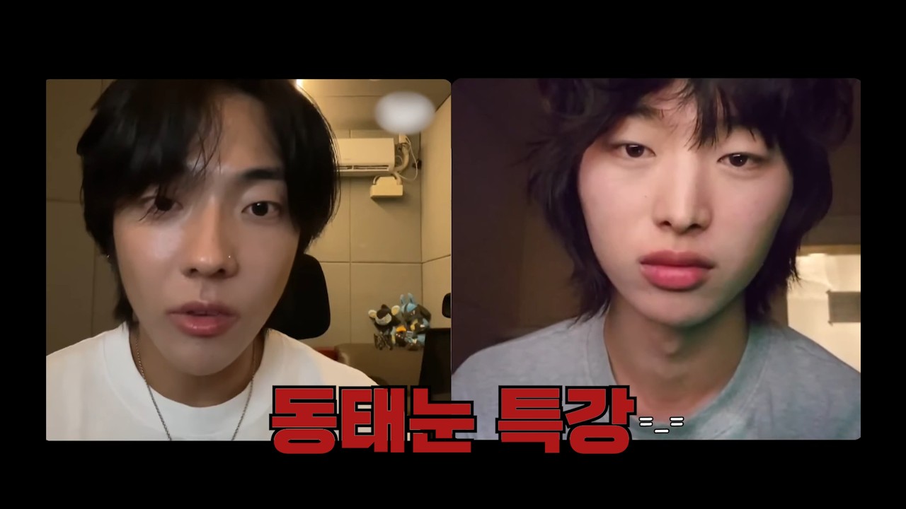 맑은 눈에게 영혼 없는 표정 하는 법을 알려줘보았다 | 250903 드래곤포니 안태규 위버스 라이브 (w. 권세혁)