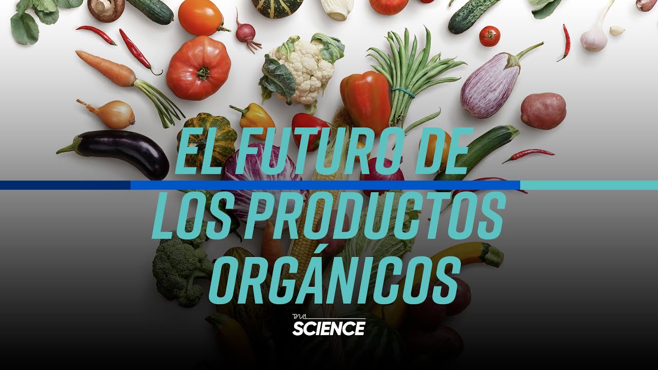 EL FUTURO DE LOS PRODUCTOS ORG&Aacute;NICOS | Omar Hern&aacute;ndez