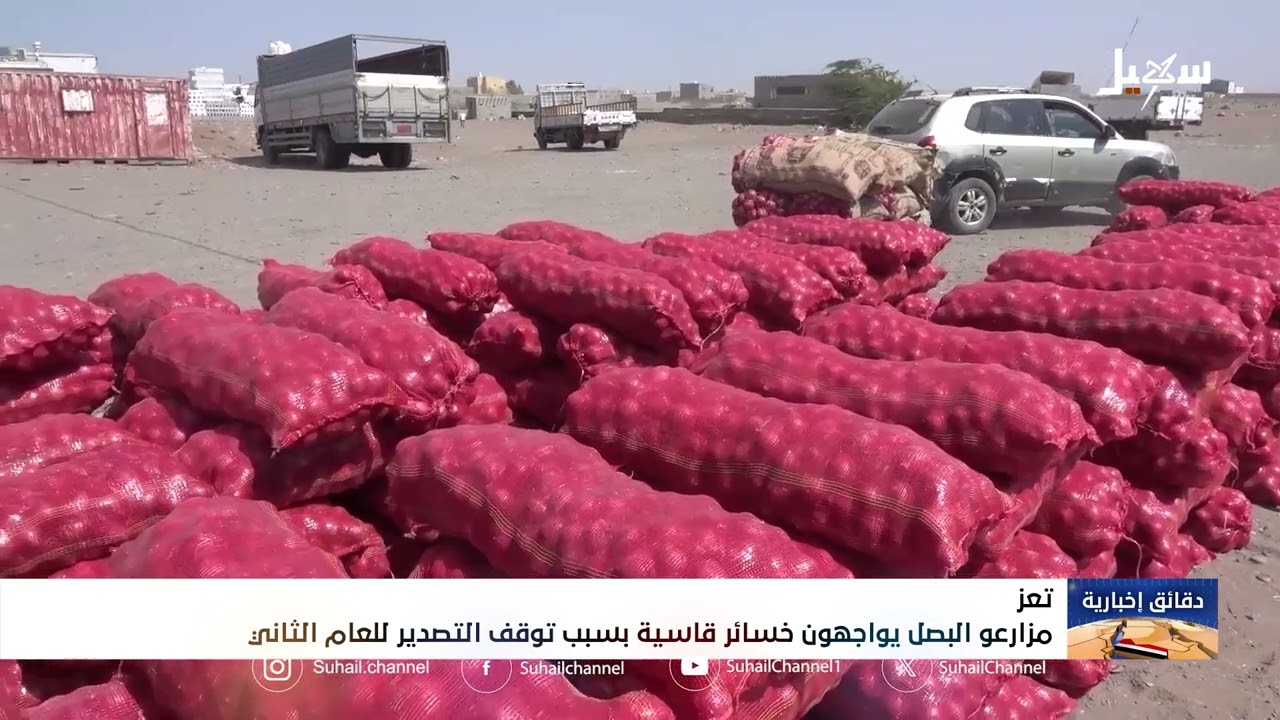 مزارعو البصل يواجهون خسائر قاسية بسبب توقف التصدير