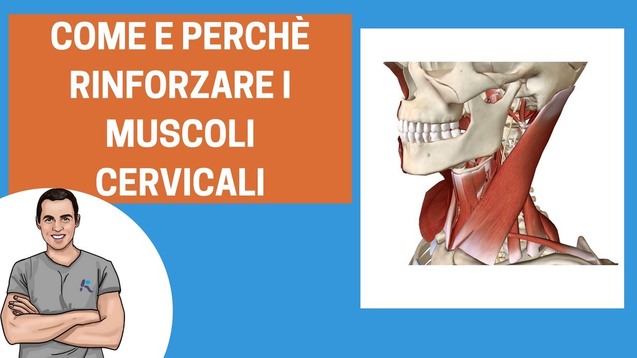 Esercizi per cervicale: come rinforzare i muscoli del collo