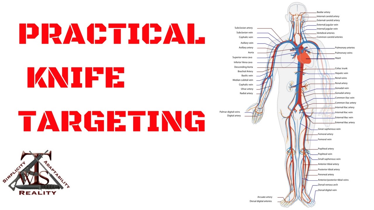 Knife Fighting: Practical Targeting