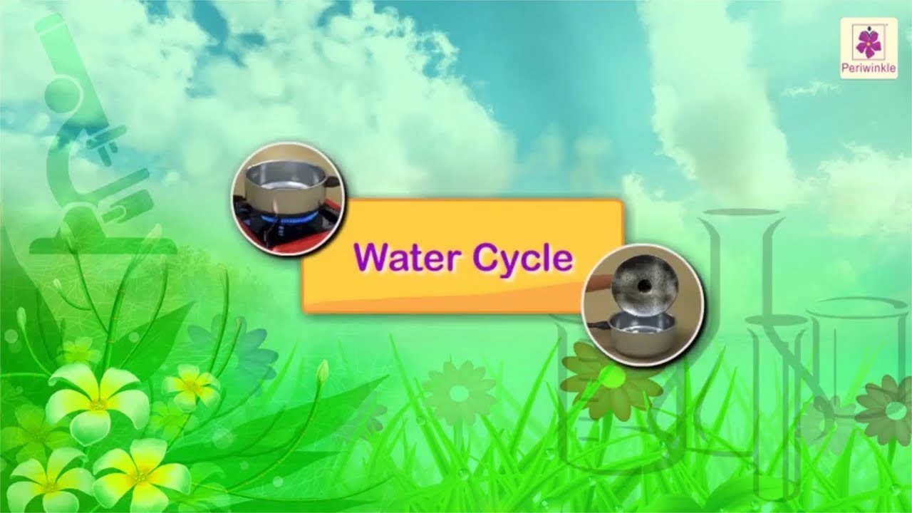 Water Cycle | Science Grade 2 | Periwinkle