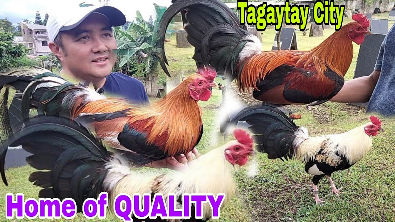 The HOME of QUALITY  in Tagaytay city...