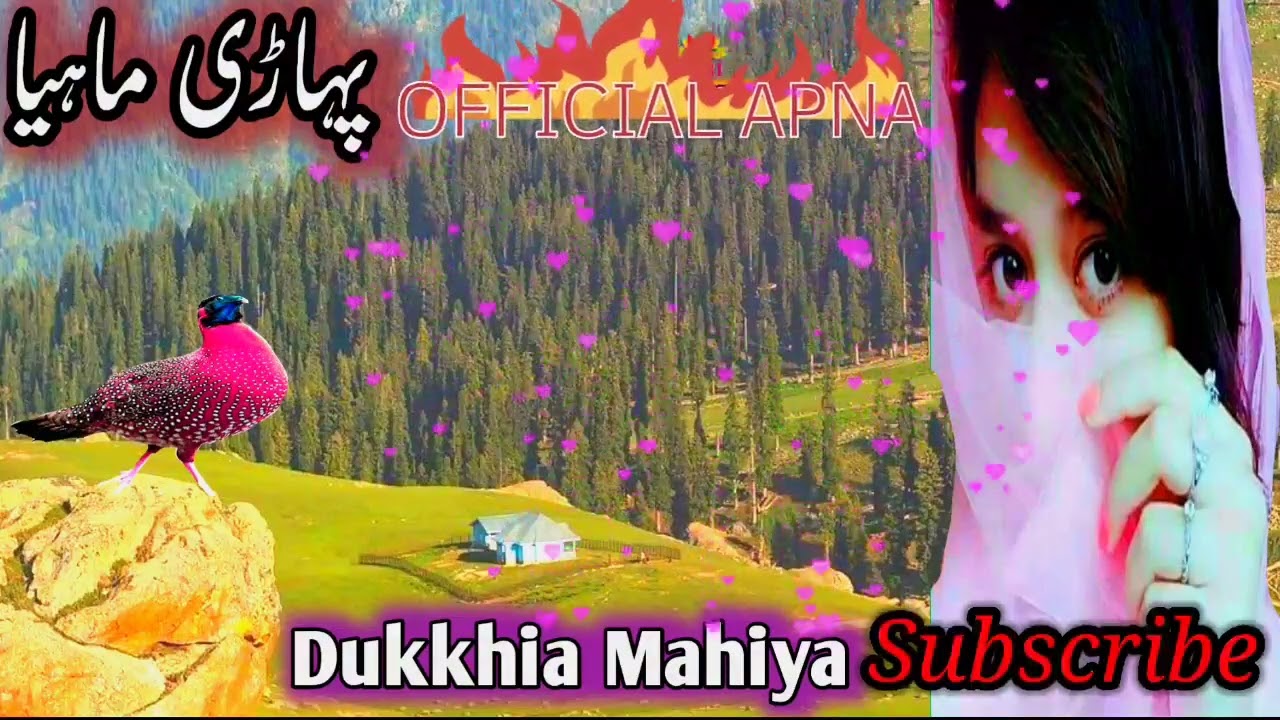 Hazara song pahari song Gojri song 2023