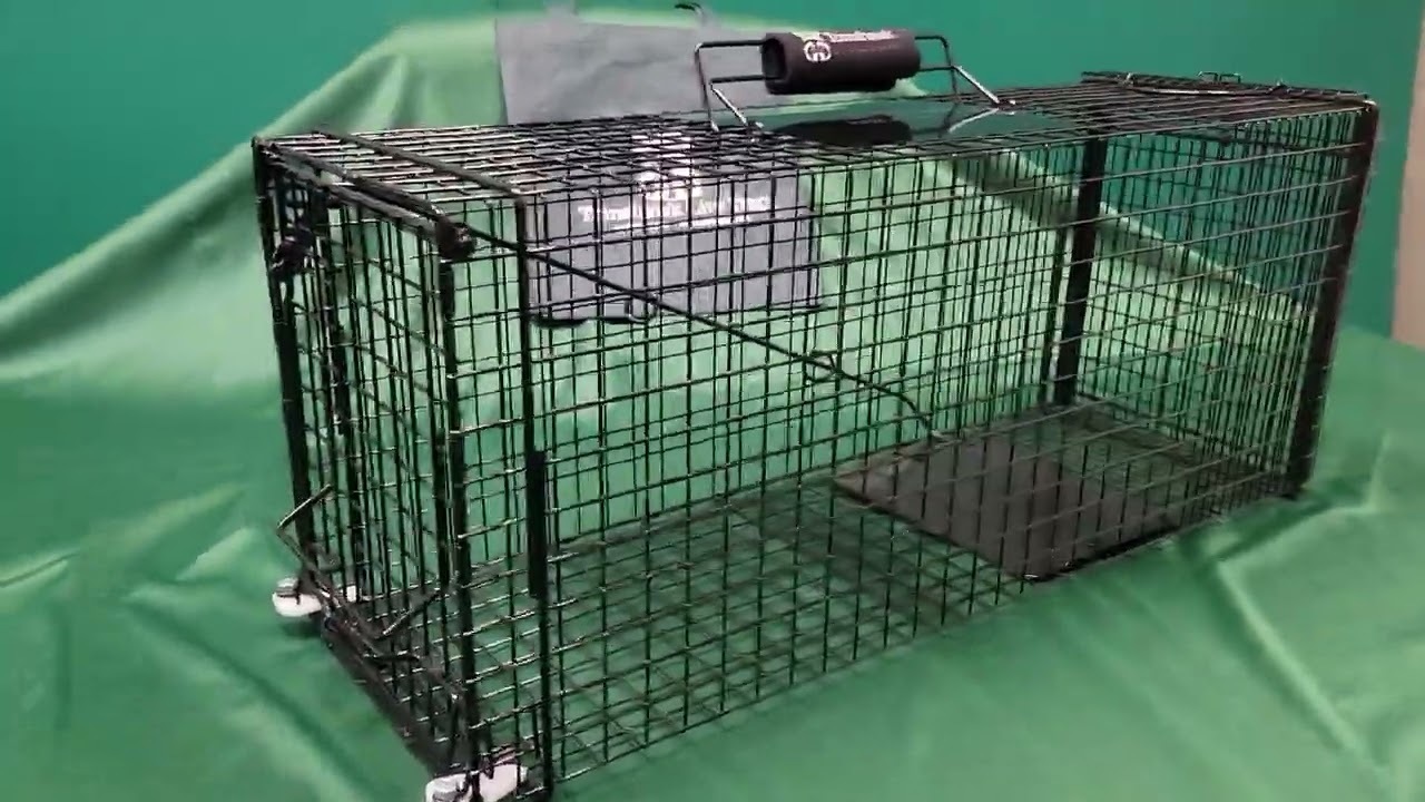 AS30 - Auto-Set Gravity Cat Trap Introduction