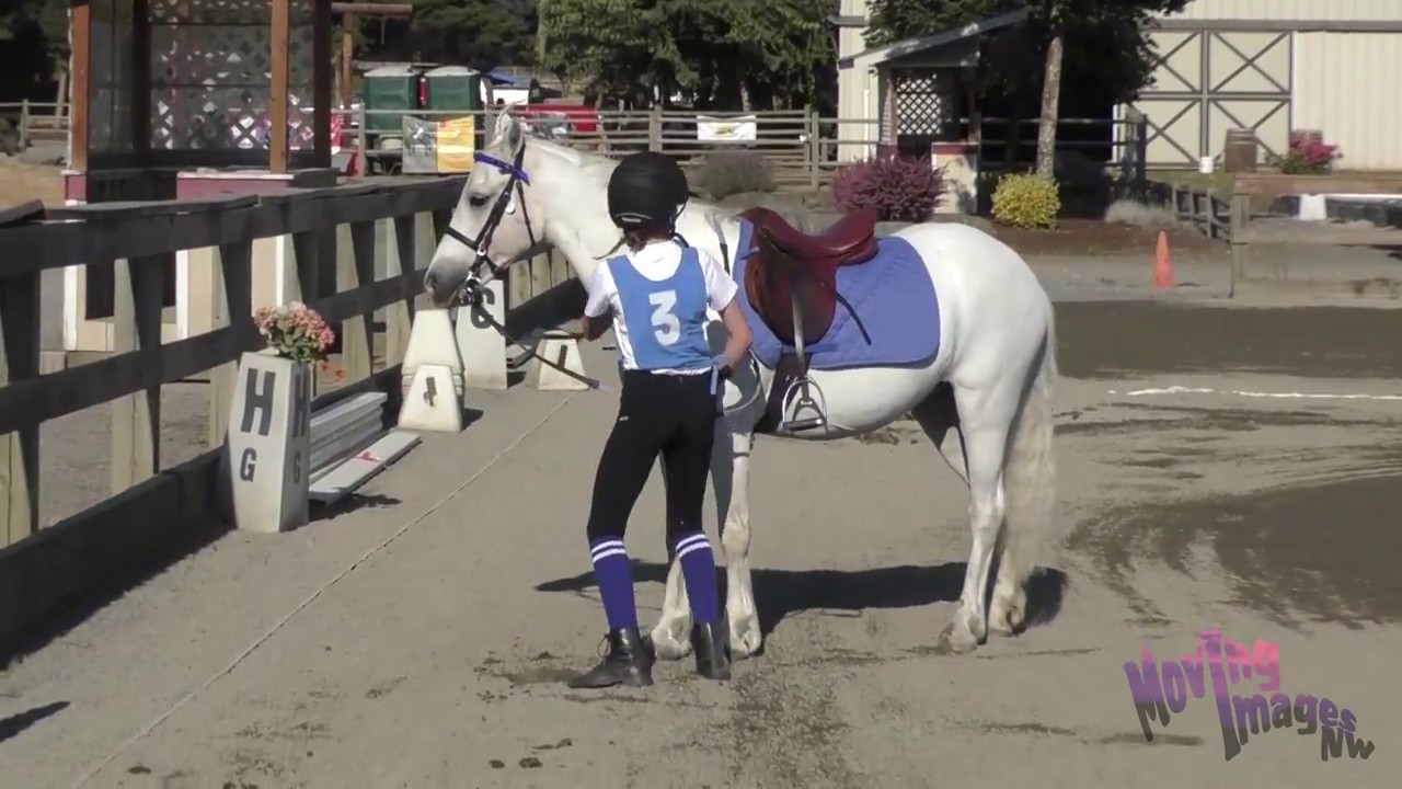 Gaming; Fast & Furriest; Bottle Race