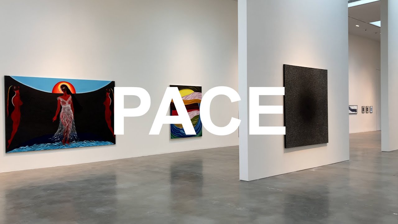 PACE GALLERY - CONVERGENT EVOLUTIONS curated by Christiana Boyle