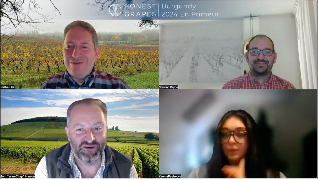 Honest Grapes' Burgundy 2024 Briefing
