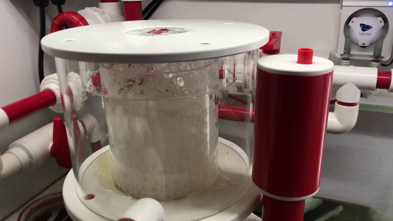 New skimmer Royal Exclusive Bubble King DC 200