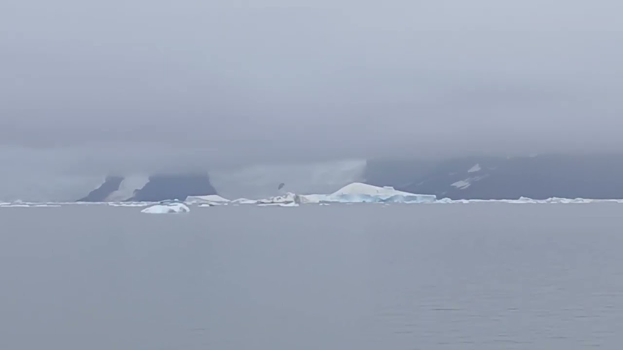 False Island Antartica 
