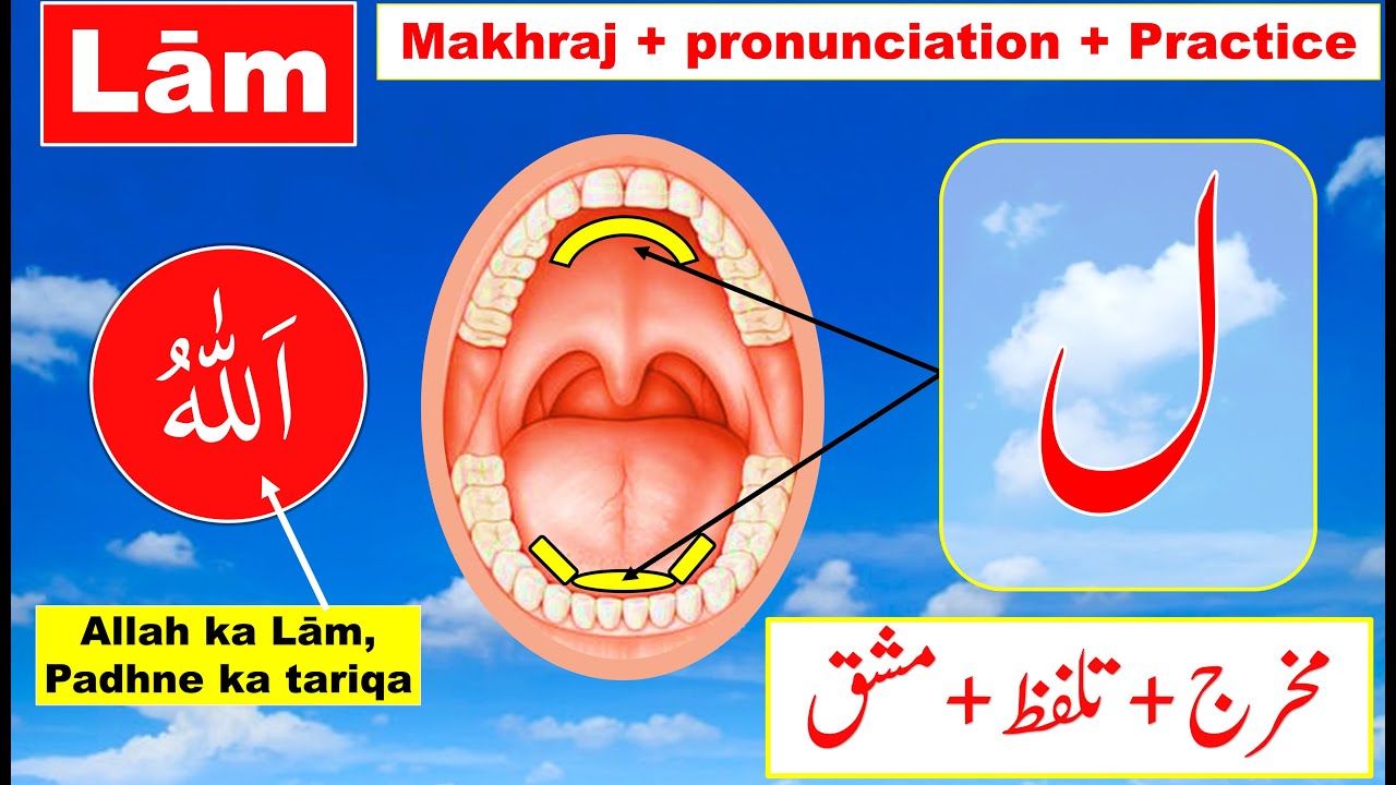 Makhraj of laam | Rules of laam in tajweed |  Heavy laam in Tajweed | how to pronounce word Allah?