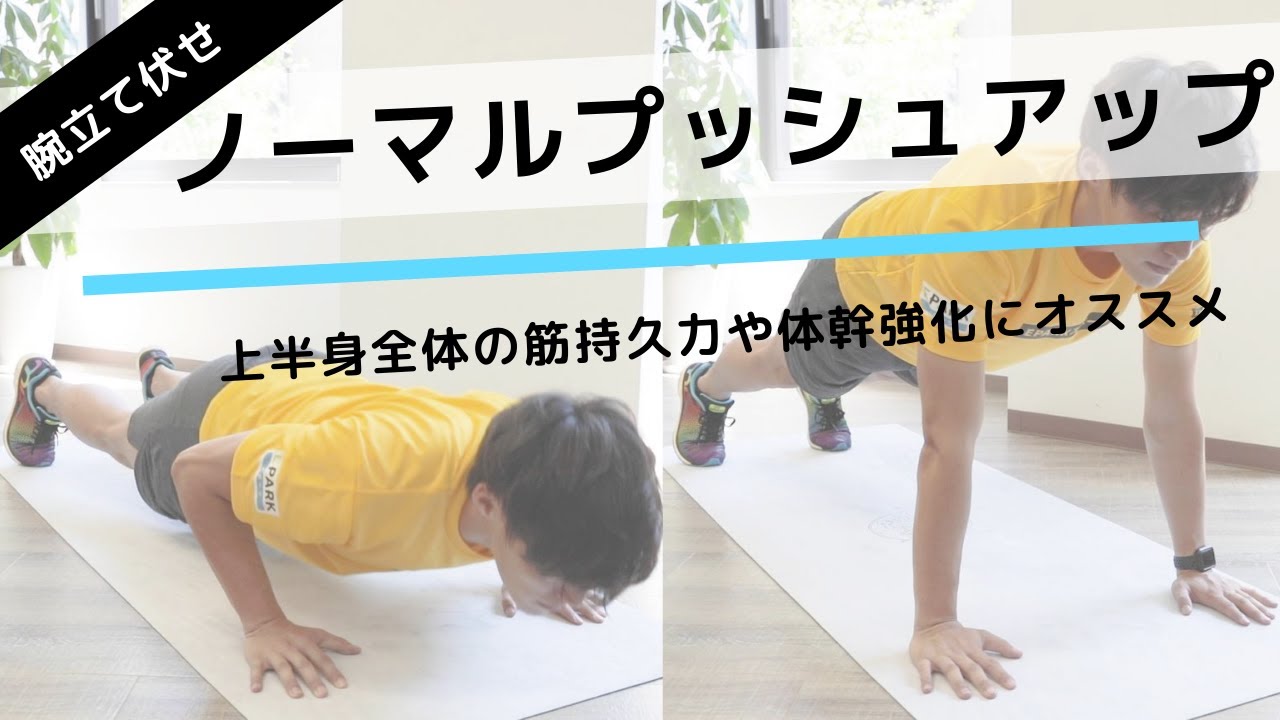 腕立て伏せで筋持久力＆体幹強化！「ノーマルプッシュアップ」の正しいやり方【10回×3セット】