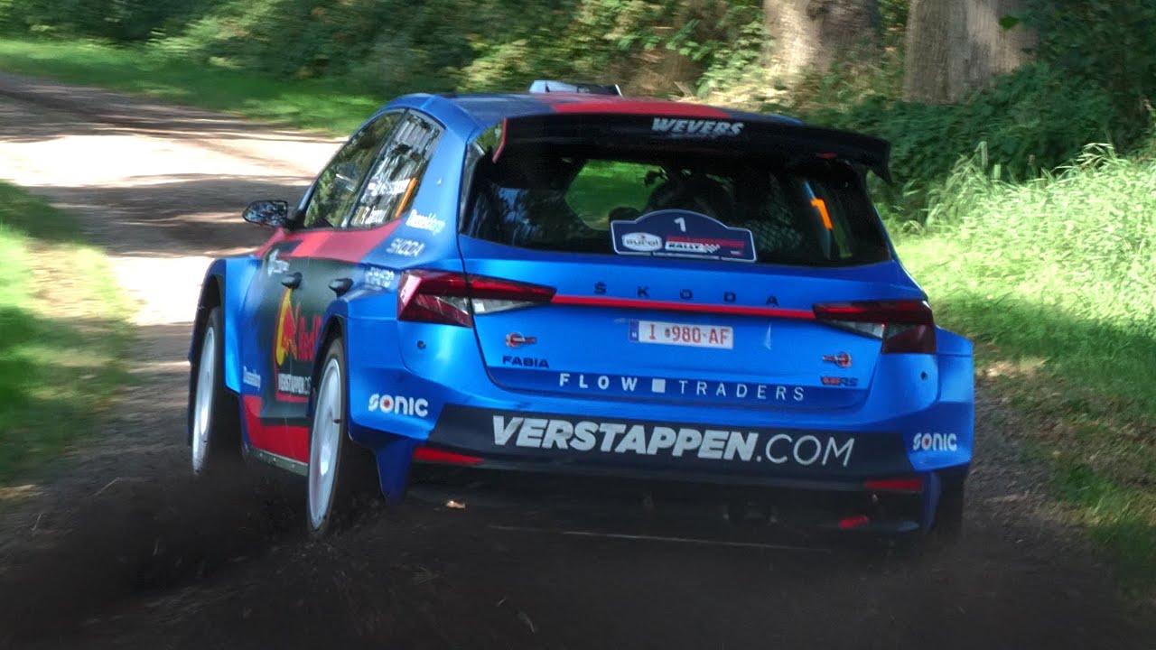 Hellendoorn Rally 2023 - CRASH, MISTAKES, PURE SOUND & ACTION