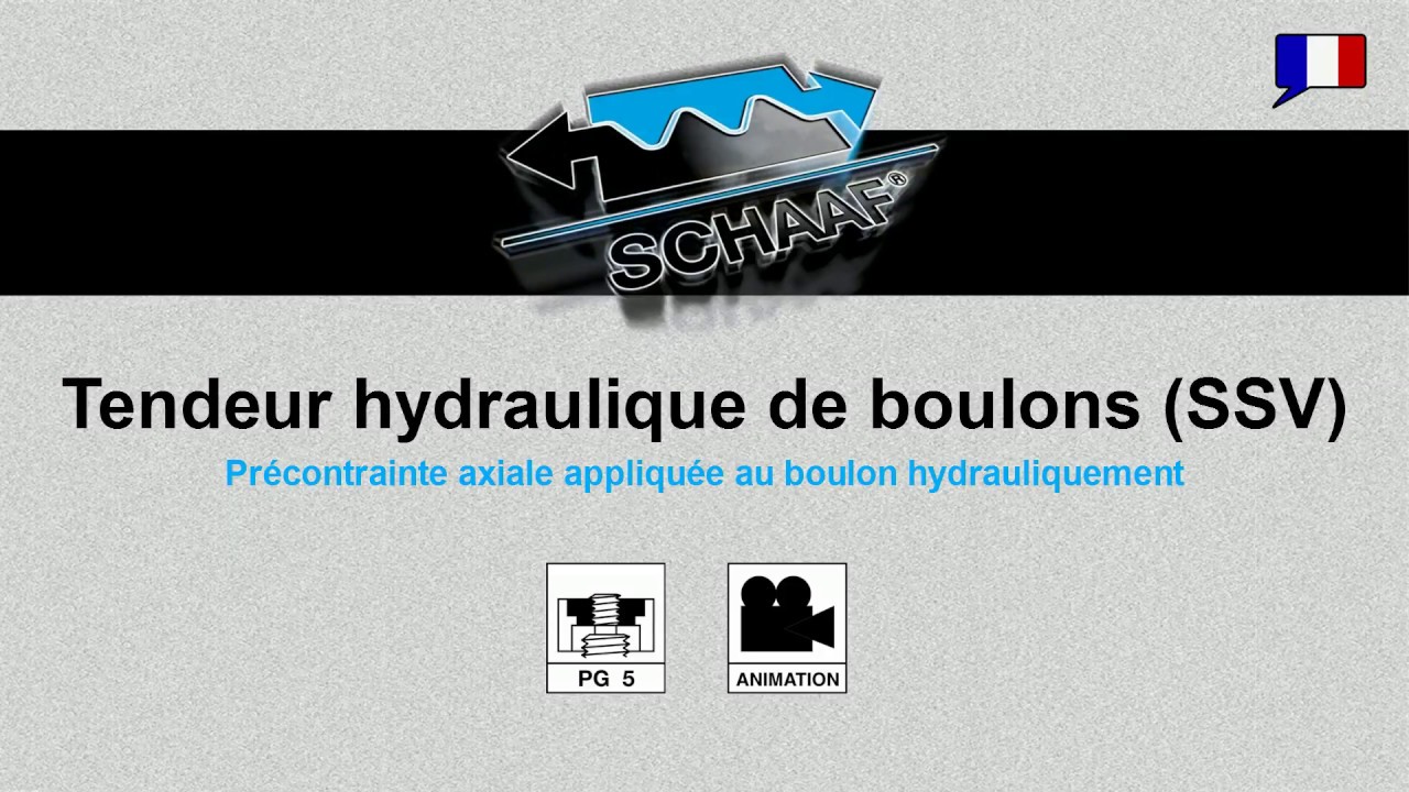 Tendeur hydraulique de boulons (SSV) PG 5 - Démontage - FR