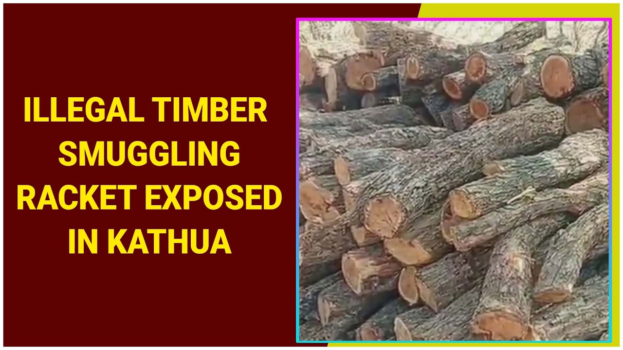 Illegal Timber Smuggling Racket Exposed in Kathua