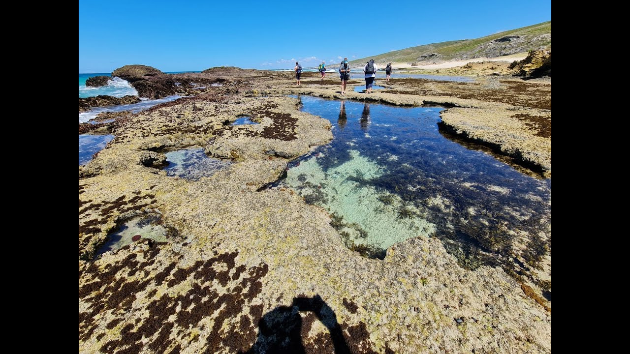 The Whale Trail - 5 day overnight Hike - De Hoop Nature reserve, Cape Town, South Africa. (2020)