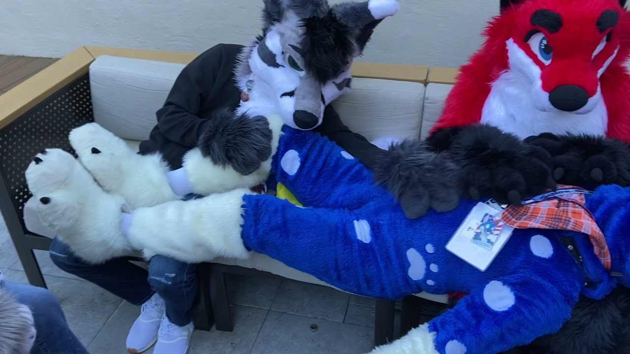 Fursuit Cuddle Pile at Bewhiskered 2021