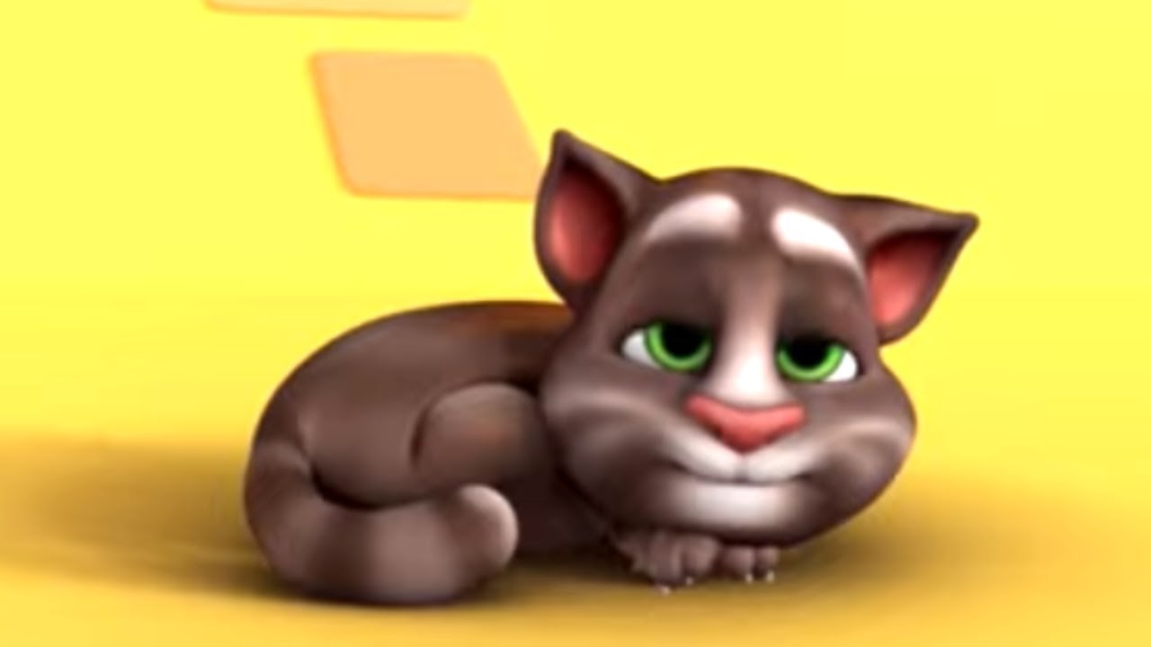 Cubos | Cortos de Talking Tom | Dibujos animados para niños | WildBrain Niños