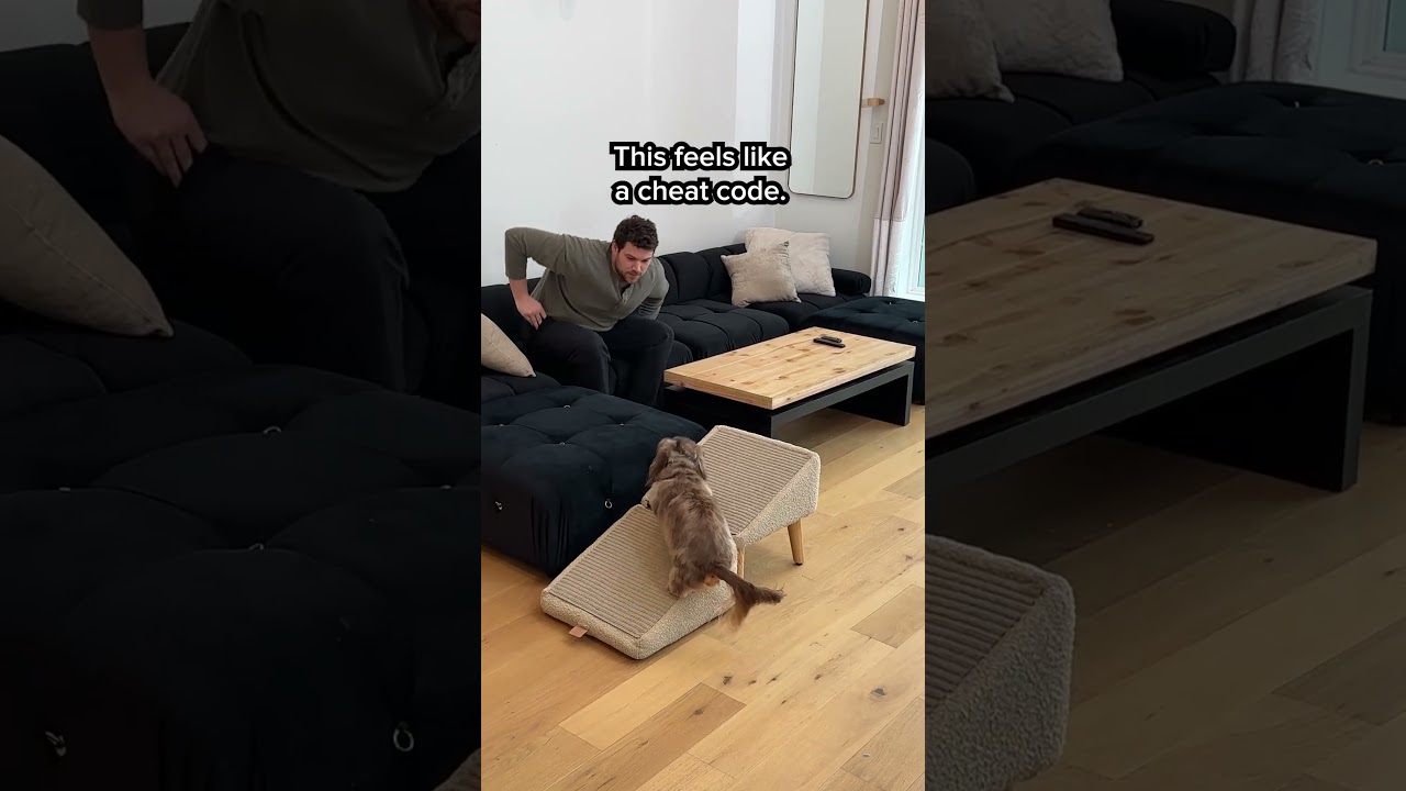 This feels like CHEAT CODE for dogs
