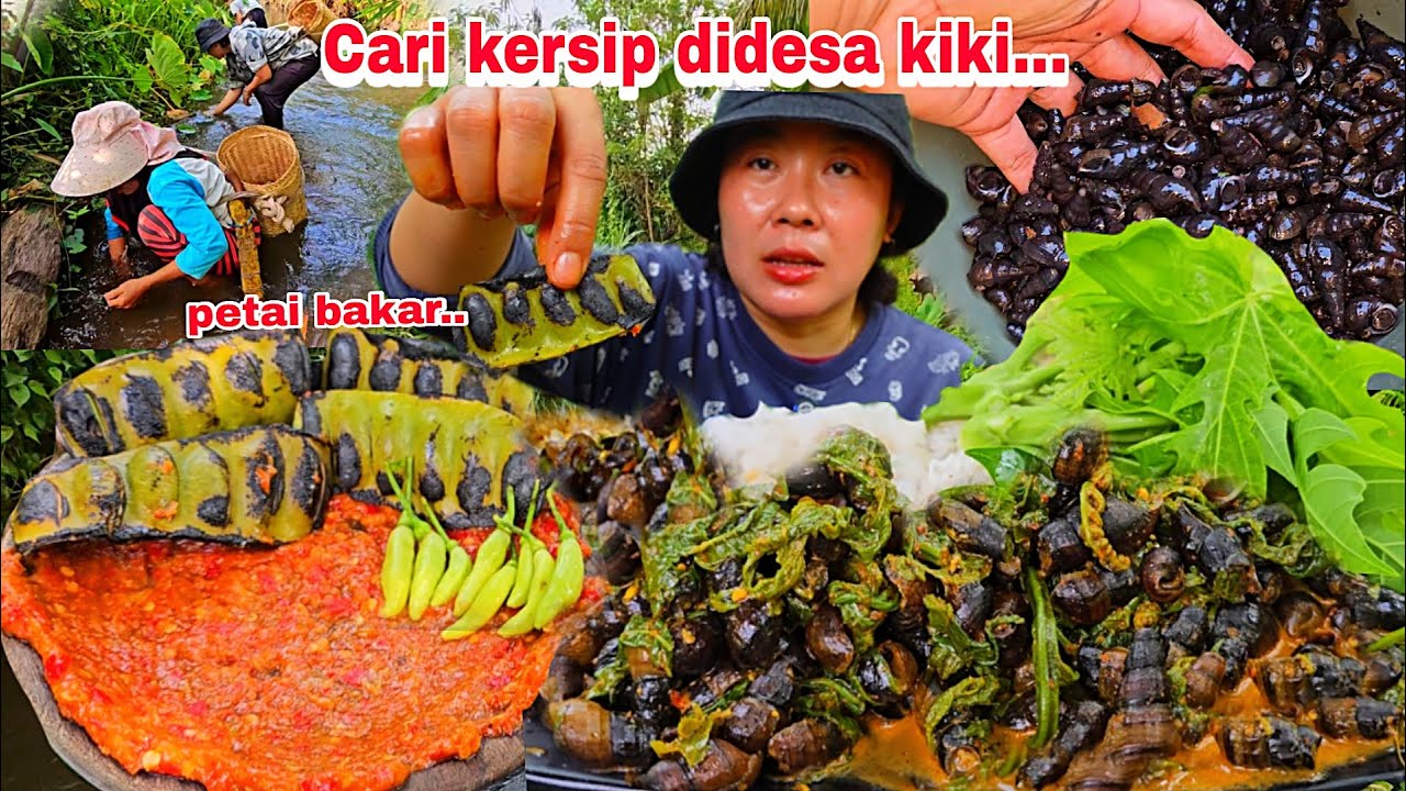 MENCARI KERSIP DIDESA KIKI DIMASAK DAN MAKAN DIKEBUN KIKI .MANTAP SEKALI  👍