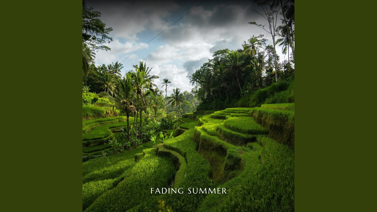 Fading Summer
