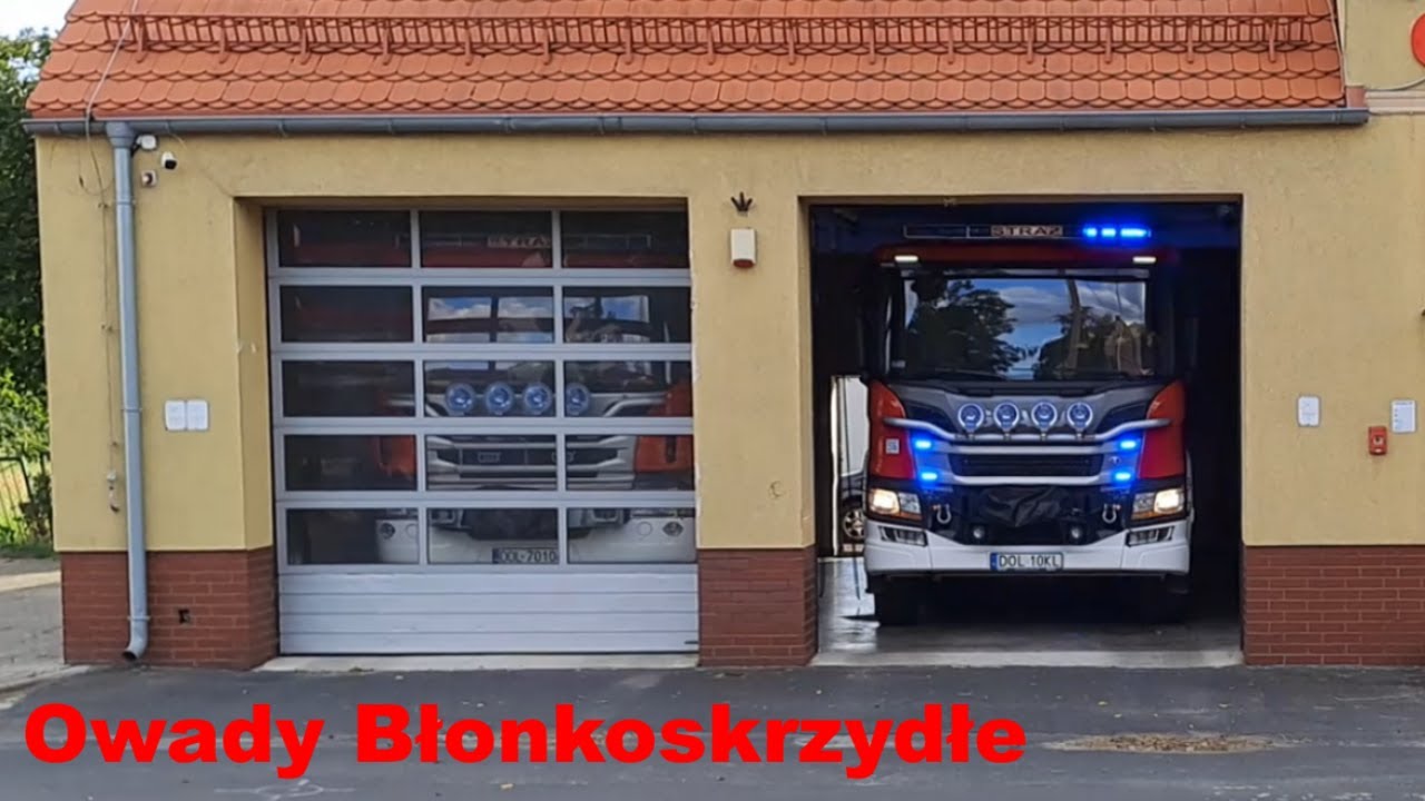 Wyjazd Alarmowy 519[D]65 GBA z OSP KSRG Twardogóra do usunięcia Owadów błonkoskrzydłych.