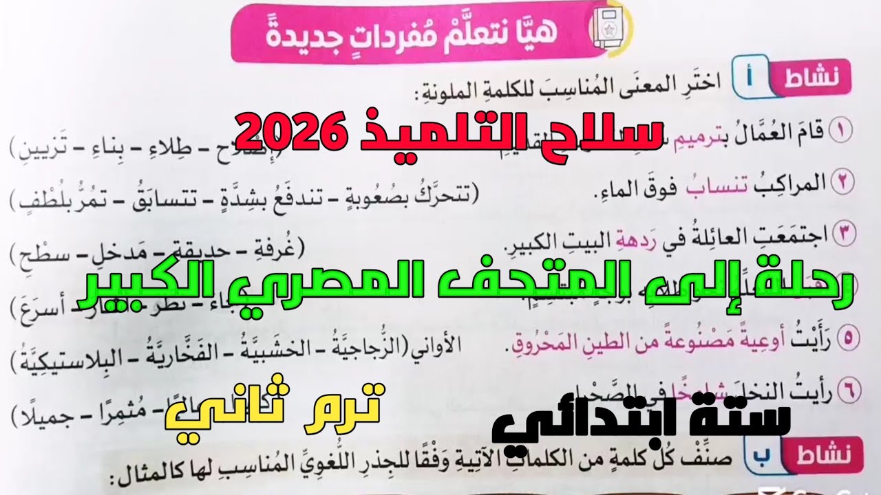 حل تدريبات سلاح التلميذ 2026  نص قراءة رحلة إلى المتحف المصري الكبير ستة ابتدائي ترم2 المنهج الجديد 