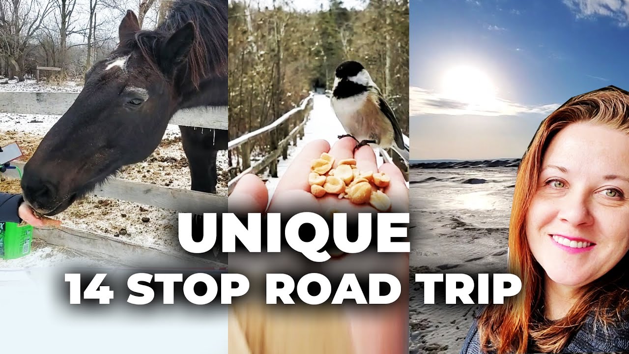 ROAD TRIP AROUND LAKE SIMCOE FROM TORONTO, 14 FUN STOPS, TO DO ANYTIME OF THE YEAR!