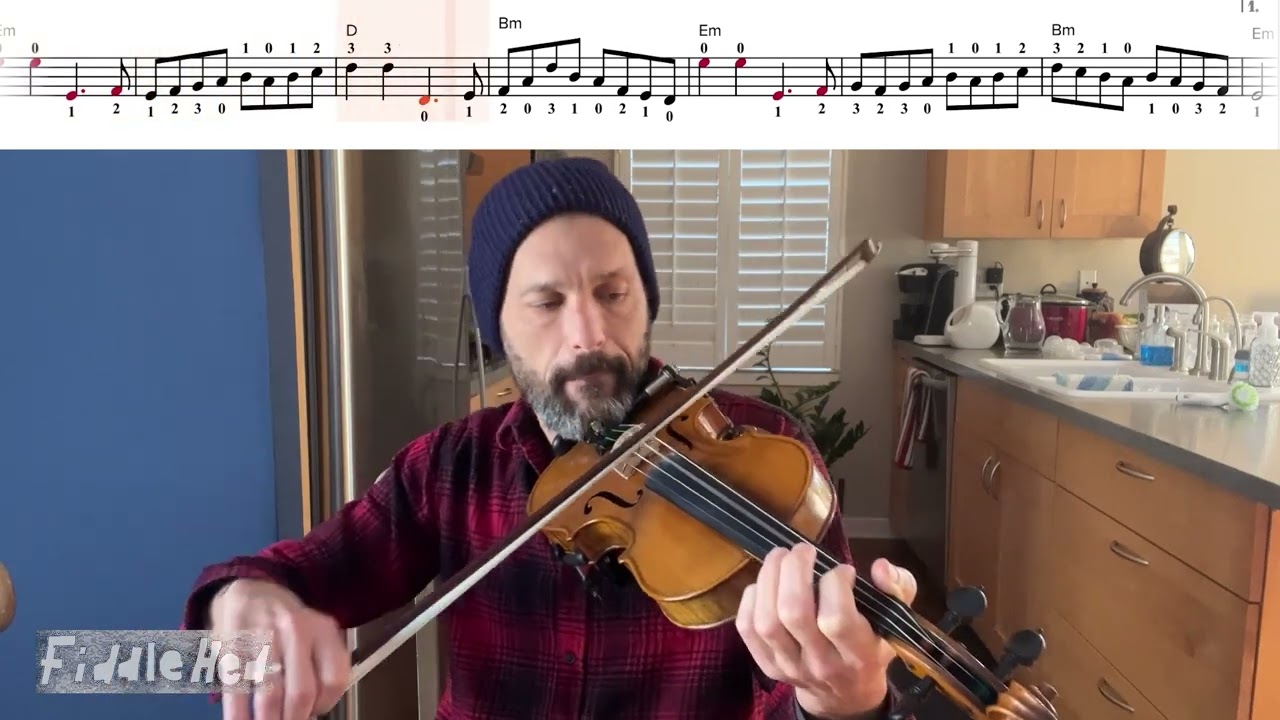 Old Grey Cat - Fiddle Lesson