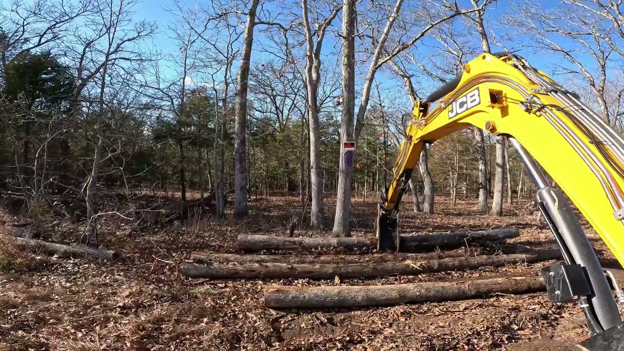 Log haulin’ day 