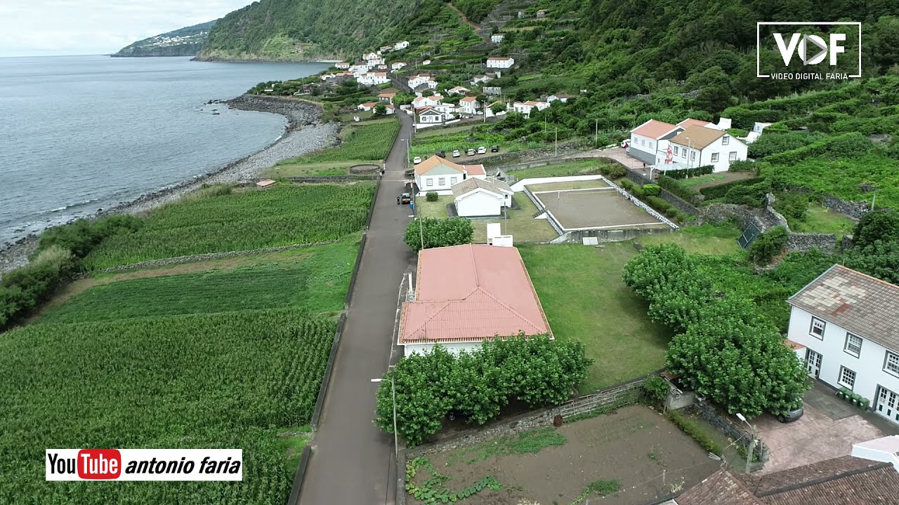Fajã dos Vimes está de verde 2021 Ilha São Jorge