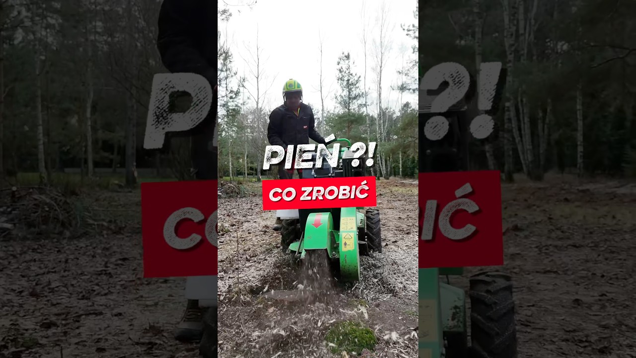 Frezowanie pni &ndash; szybkie usuwanie pnia po wycince. Został pień po wycince drzewa? Nie czekaj latami