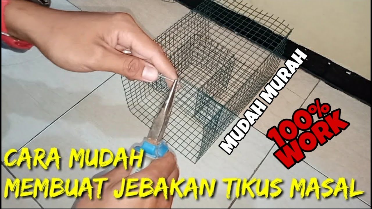Cara mudah membuat jebakan tikus massal | how to make mass rat trap