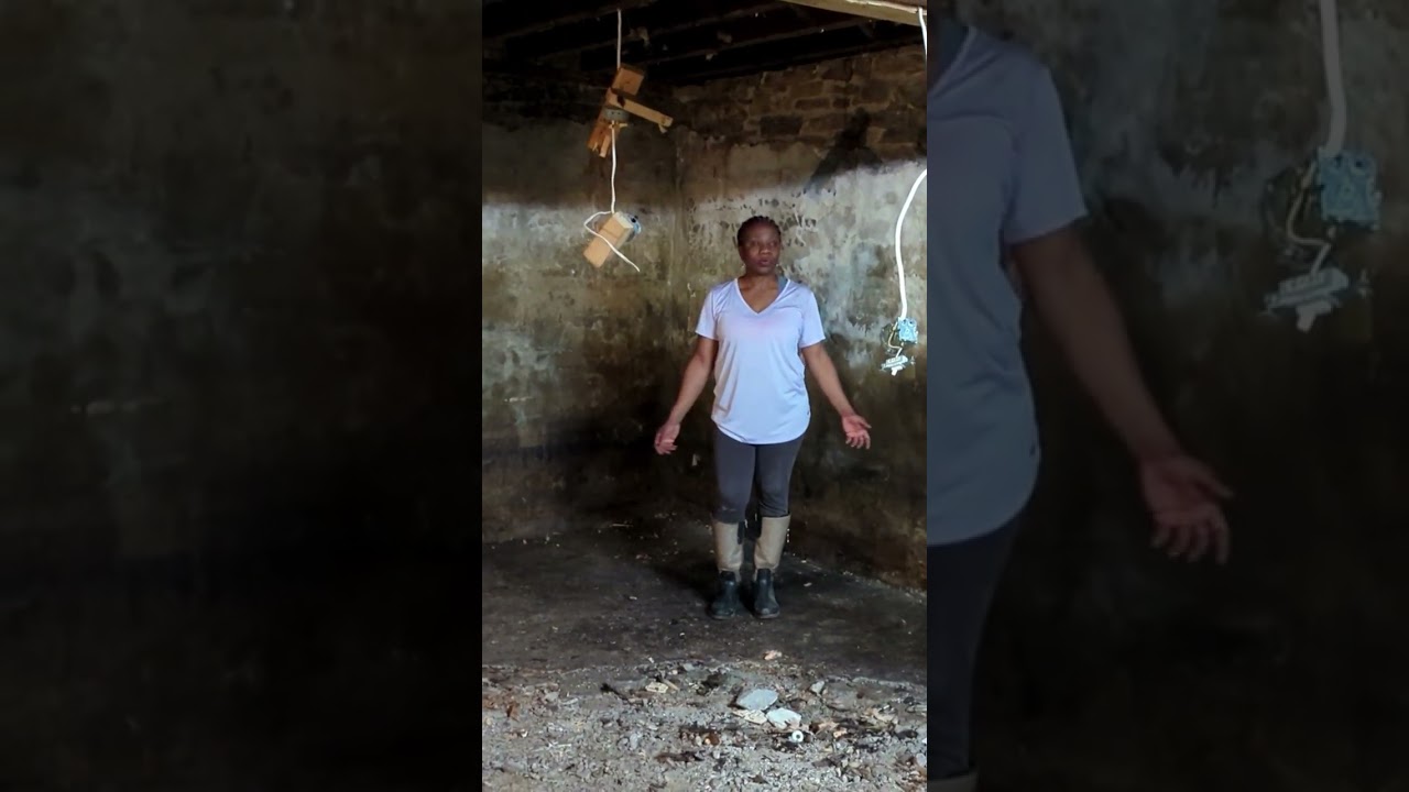 After Cleaning the Shower Demolition Waste in Basement. - The Victorian Home Revival.
