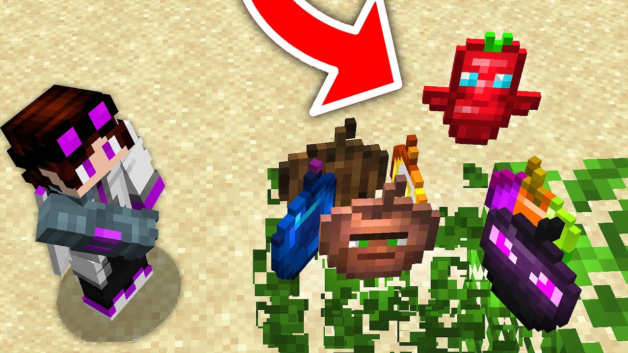 ma&ccedil;&atilde;s d&atilde;o PODERES OP
