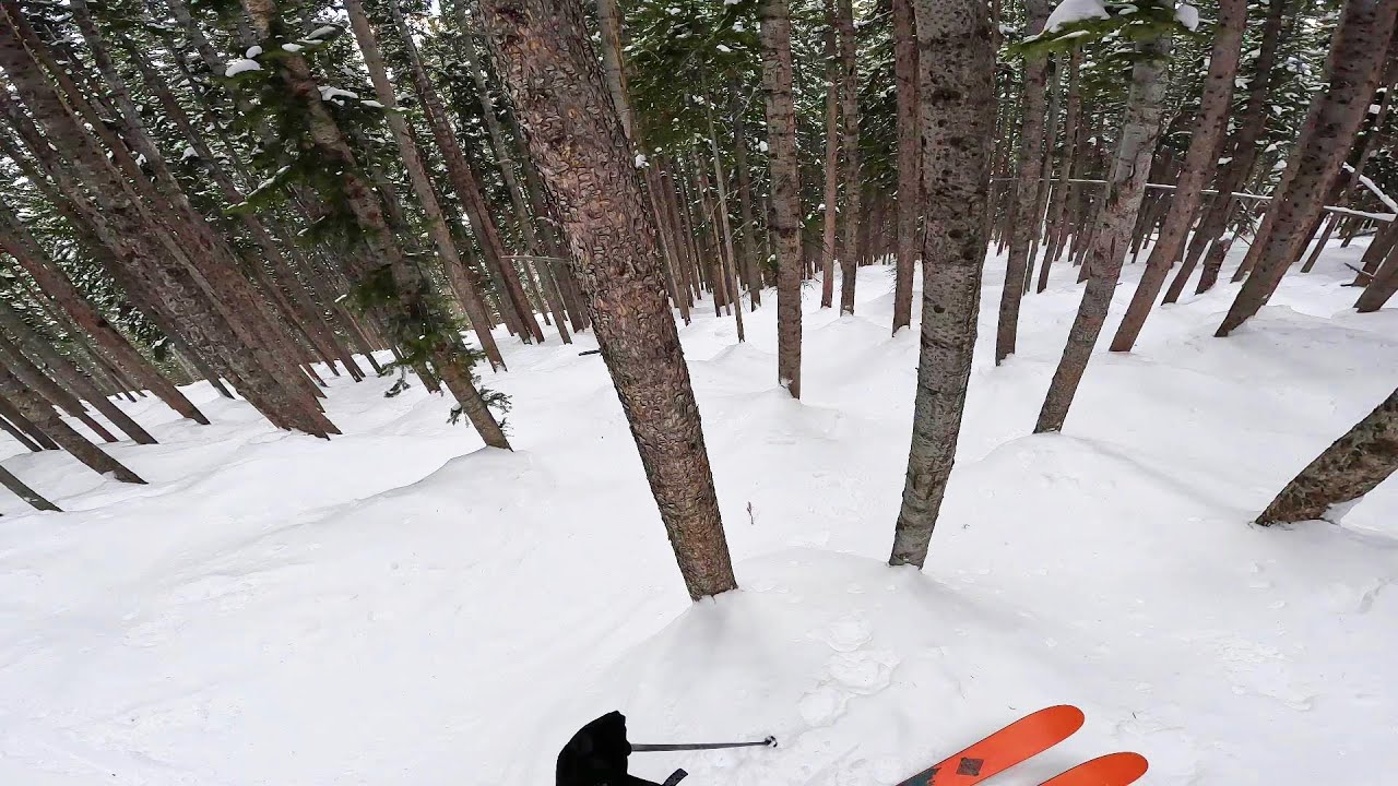 Queen Bess Glade - Solitude