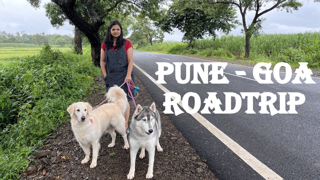 Roadtrip - Pune to Goa | Goa with Dogs
