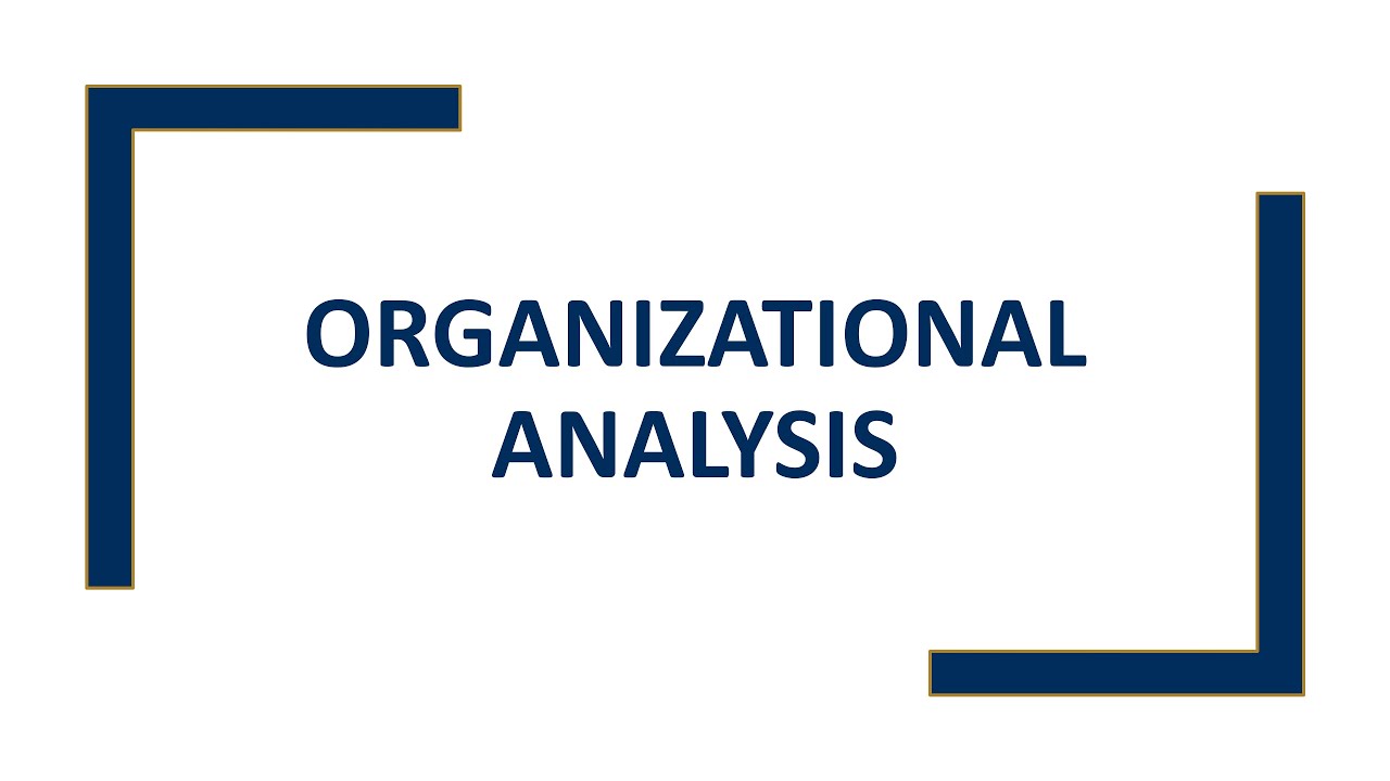 Organizational Analysis