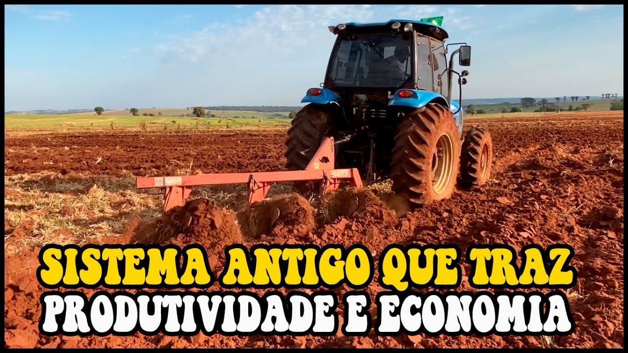 MOTIVOS E PORQUÊ VOCE DEVE TOMBAR A TERRA #tombadoriveca #preparodesolo