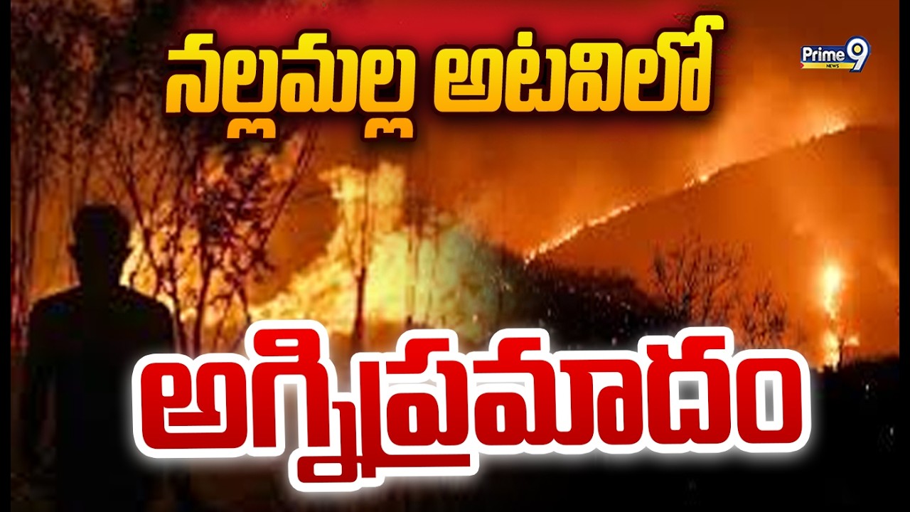 నల్లమల్ల అటవిలో అగ్నిప్రమాదం | Fire Incident in Nallamala Forest | Prime9 News