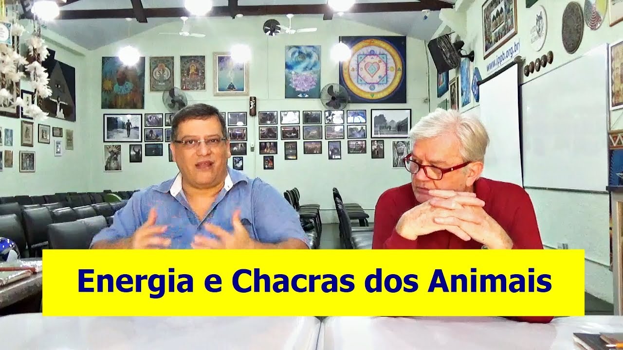 Energia e Chacras dos Animais | # 3 Stum Pet