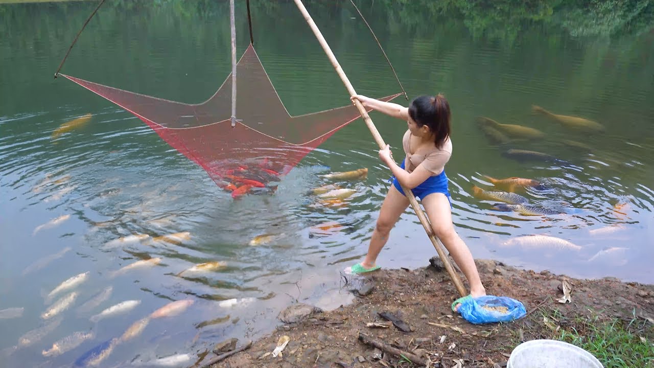 Amazing Survival Skills: Girl Harvest Fish Using Ancient Traditional Methods
