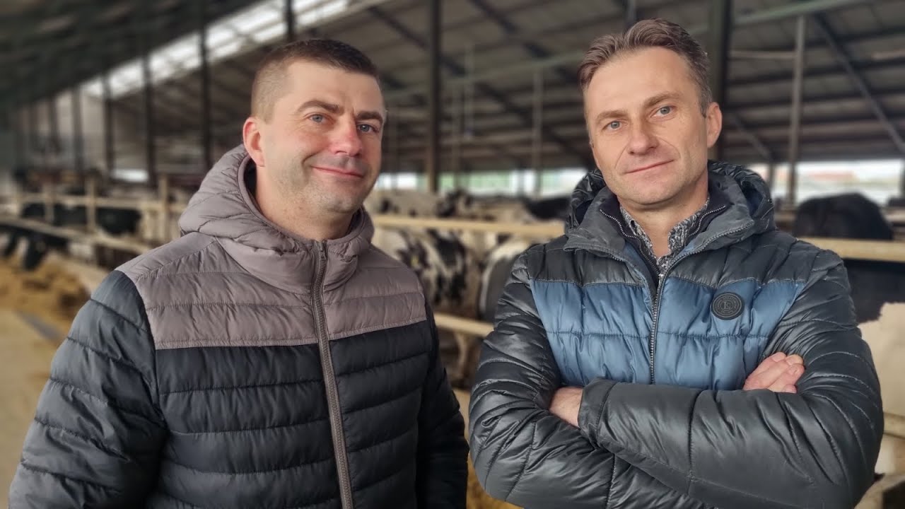 Produkują mleko, mają 600 krów i należą do 2 grup producentów. Wspierają ich doradcy Agraves
