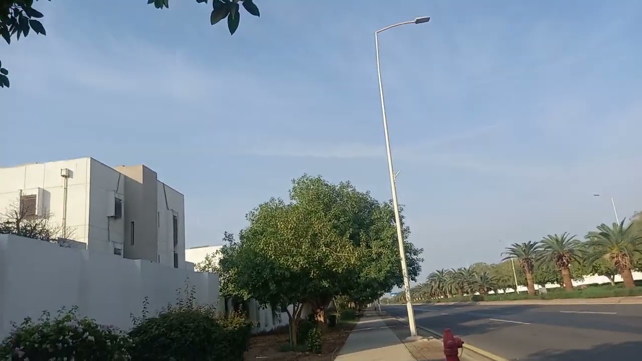 Beautiful morning walk on a pathway with trees here in Yanbu, K.S.A 🇸🇦 